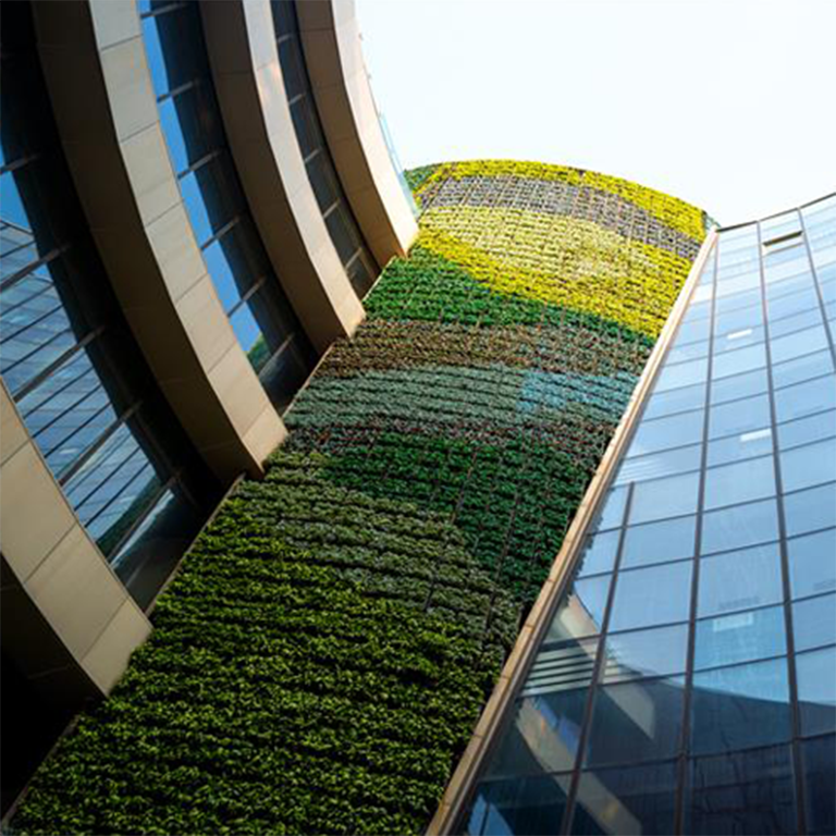A glass building with grass wall